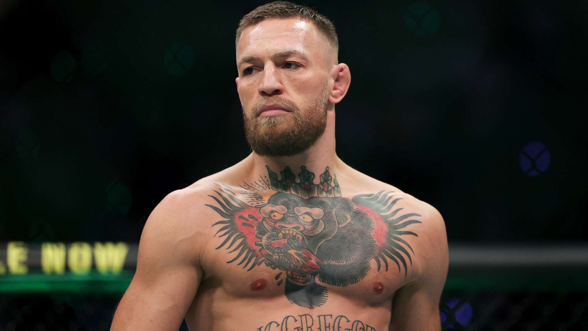 比賽的觀賞 比賽的觀賞